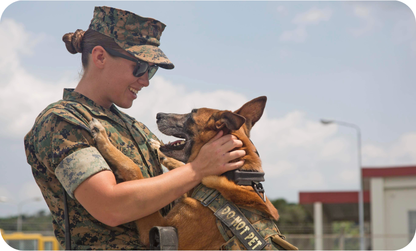 Lend a Paw to Our Military Dogs